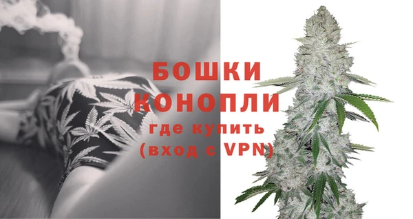 jwh Карпинск