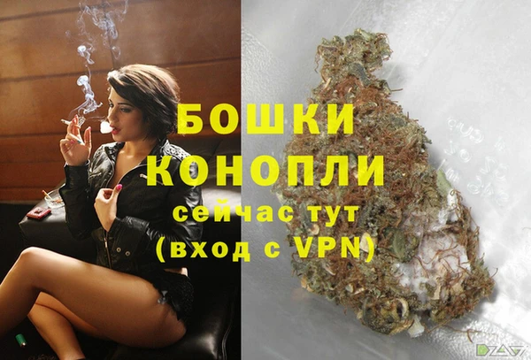 jwh Карпинск