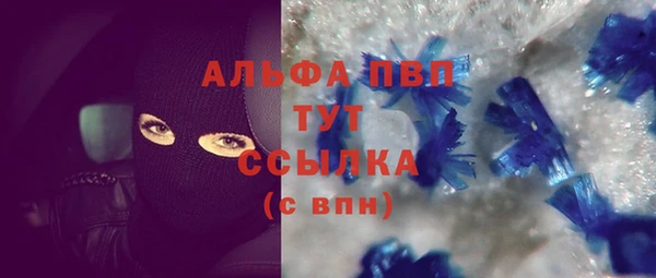спайс Касимов