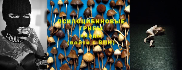 спайс Касимов