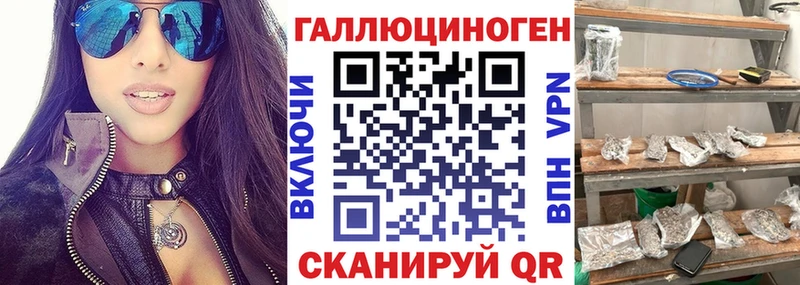 продажа наркотиков  Назрань  Галлюциногенные грибы GOLDEN TEACHER 