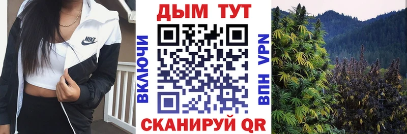 купить наркотик  kraken сайт  Канабис планчик  Назрань 